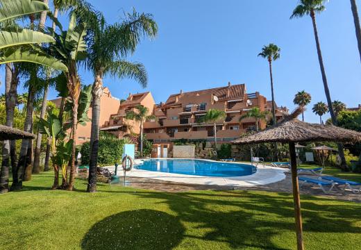 Paraiso de la Bahia 05I