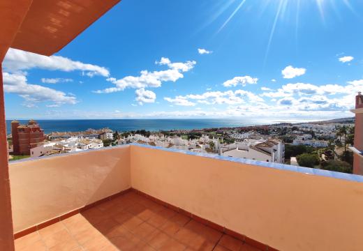 Duquesa Regent EXC